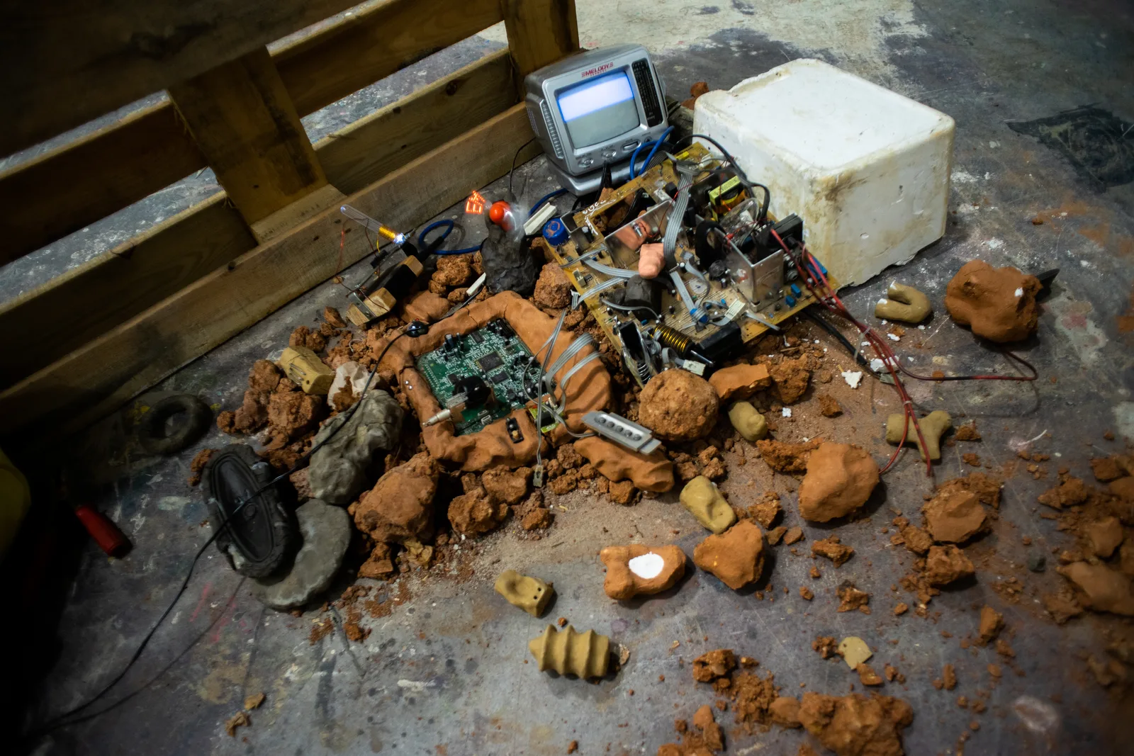 AVU first year finals